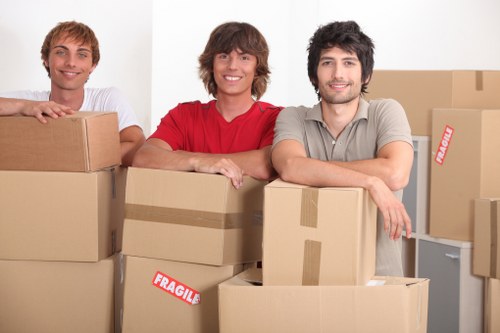 Professional movers handling boxes and household items during a Twickenham move